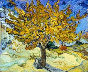 mulberry_tree